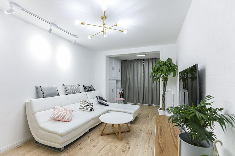 客廳 (153)射燈看